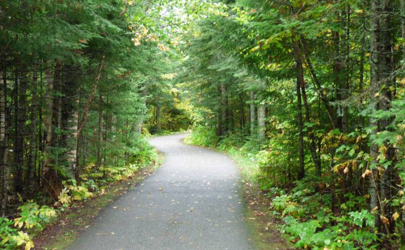 It’s a Journey Not a&nbsp;Vacation